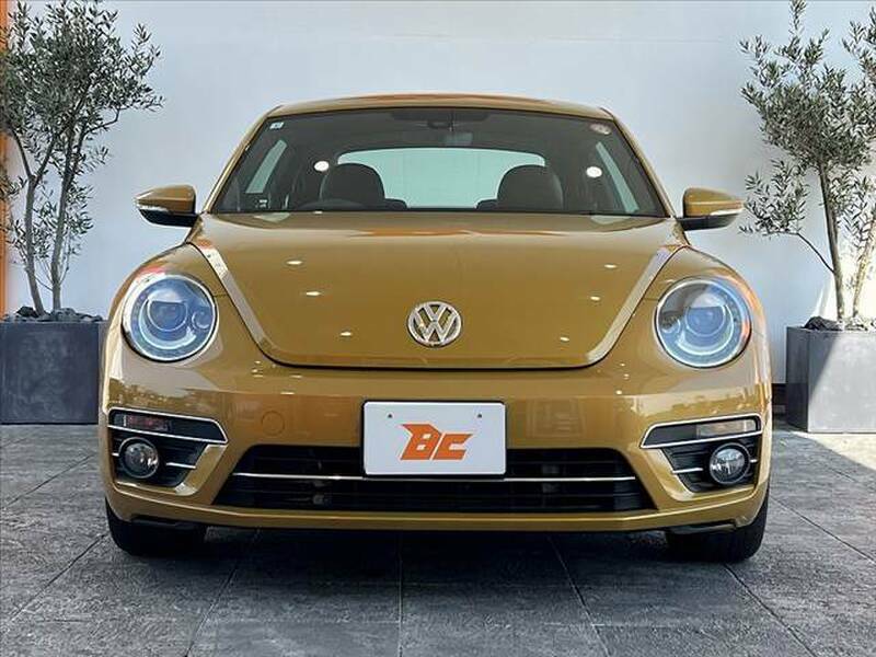 THE BEETLE