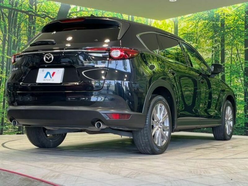 CX-8