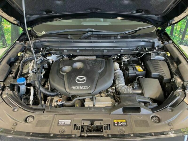 CX-8