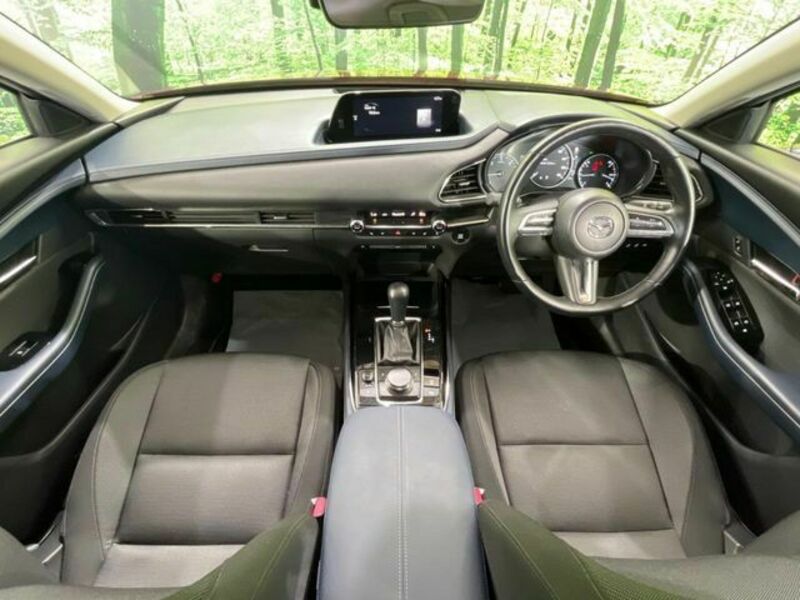 CX-30