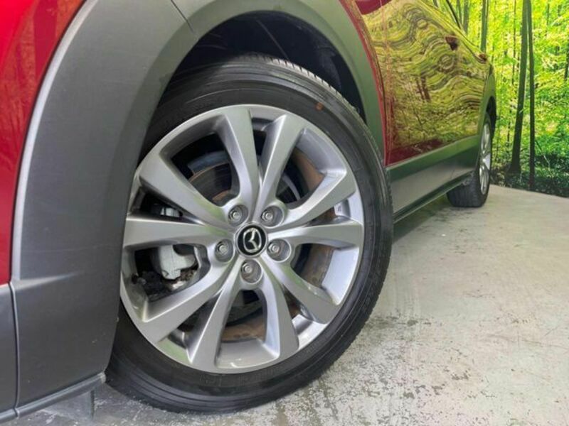 CX-30