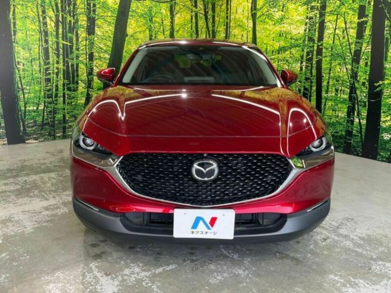 CX-30