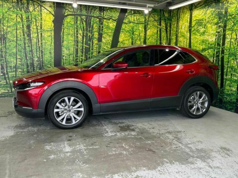 CX-30