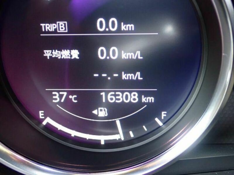ROADSTER RF
