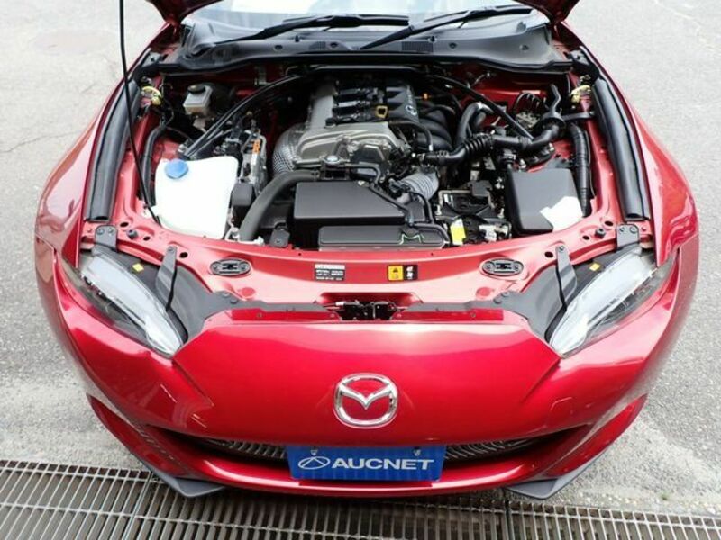 ROADSTER RF