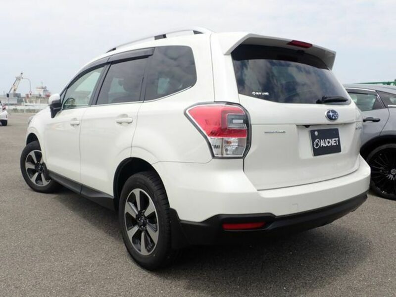 FORESTER