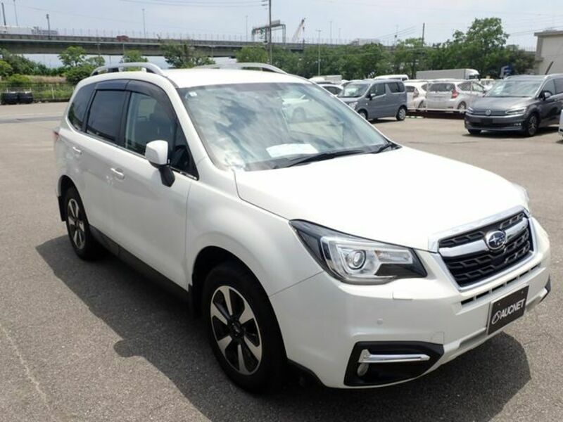 FORESTER