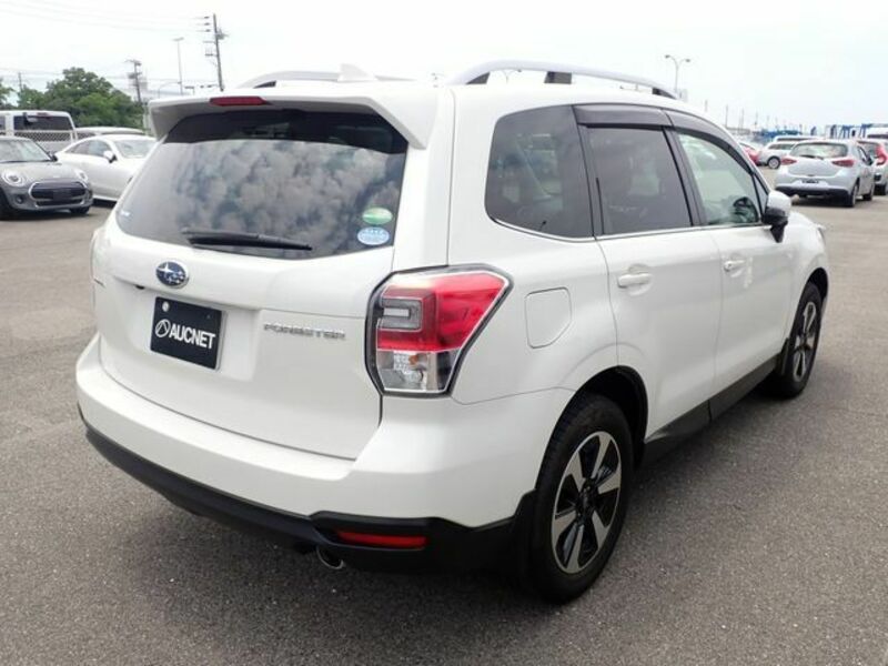 FORESTER