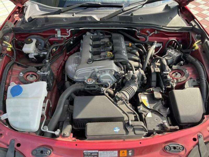 ROADSTER