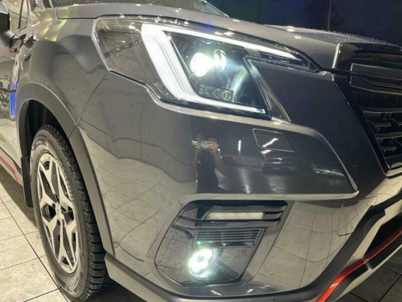 FORESTER