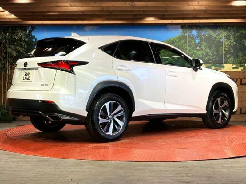 NX