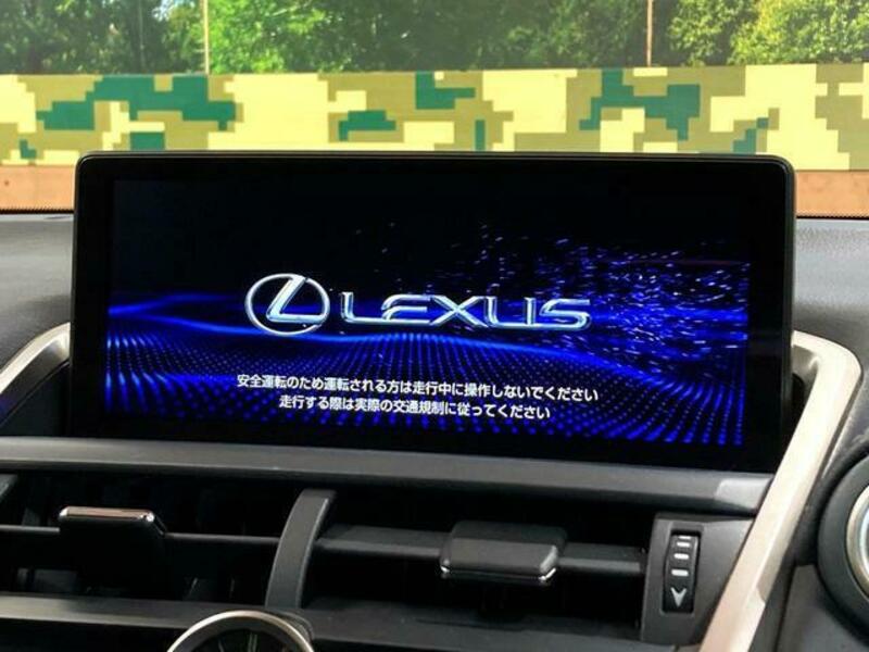 NX
