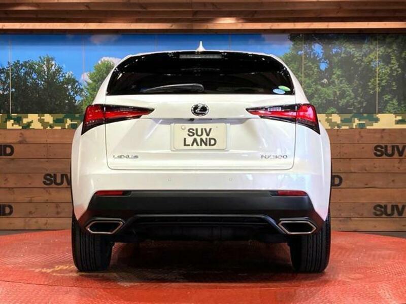 NX