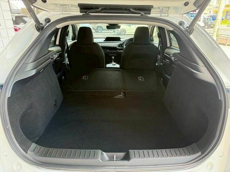CX-30