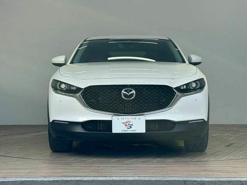 CX-30