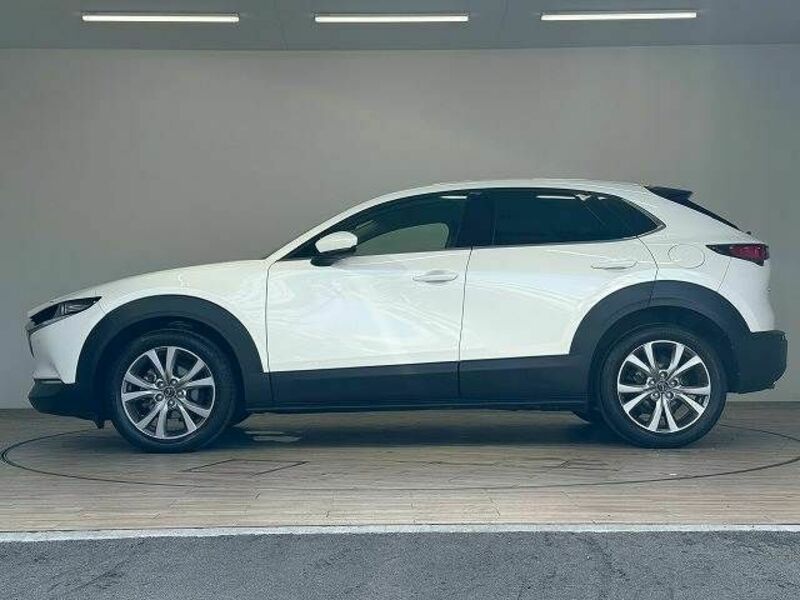 CX-30
