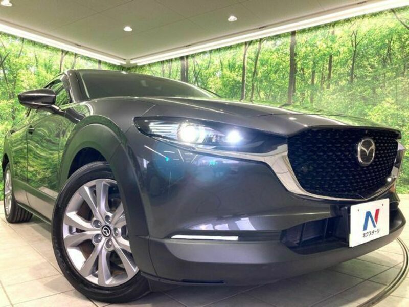 CX-30