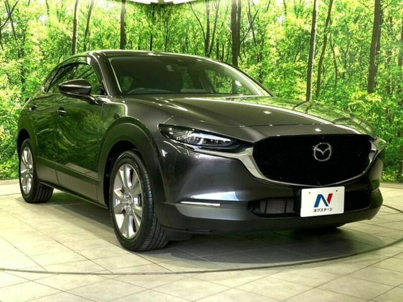 CX-30