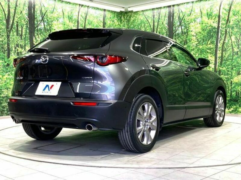 CX-30