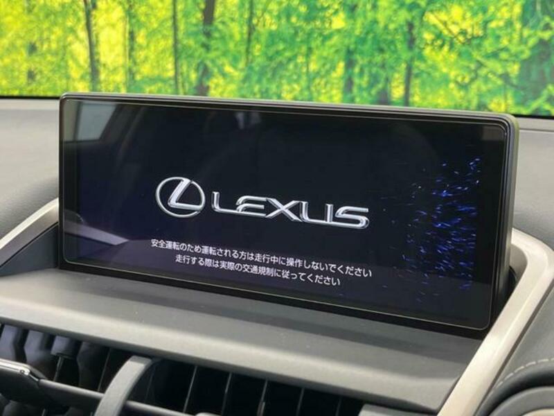 NX