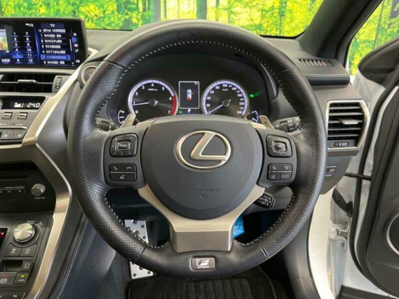 NX