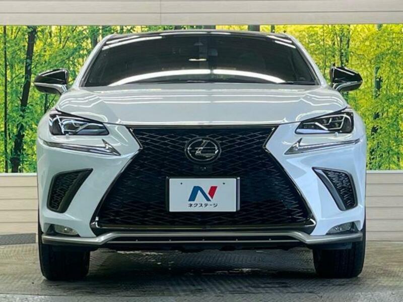 NX