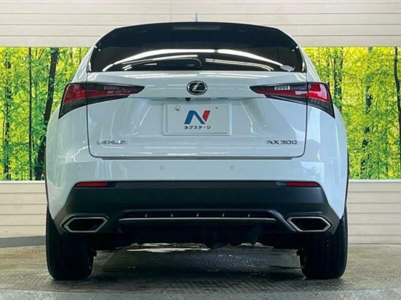 NX