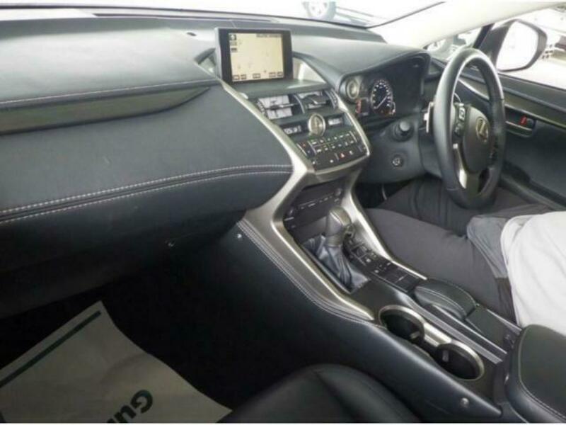 NX