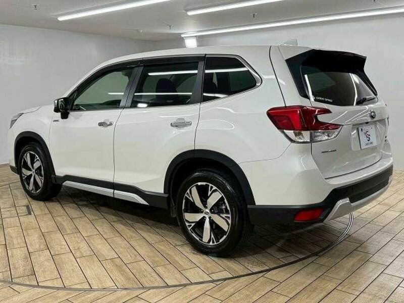 FORESTER