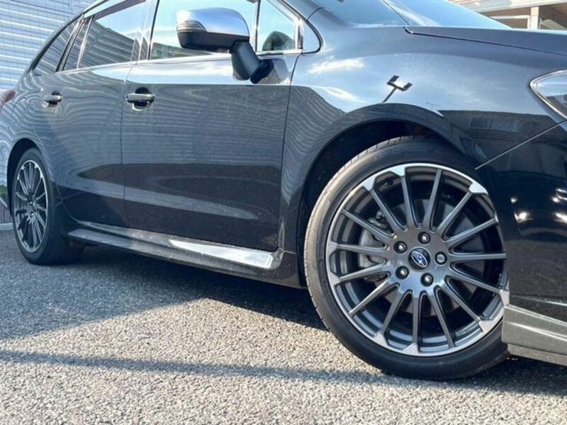 LEVORG