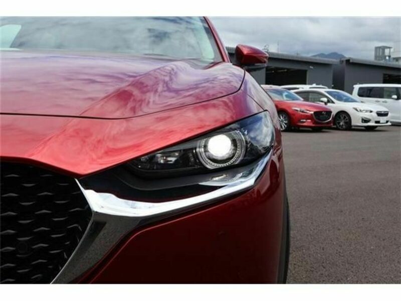 CX-30