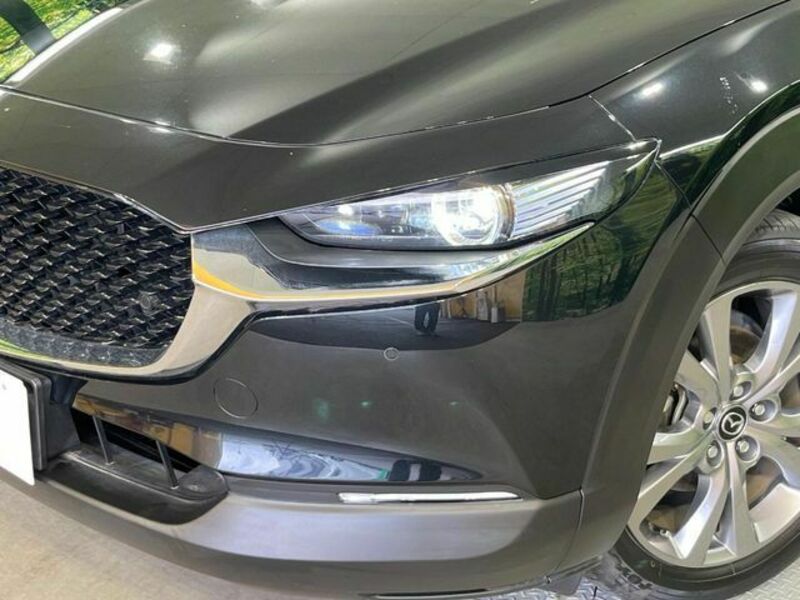 CX-30