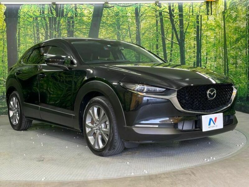 CX-30