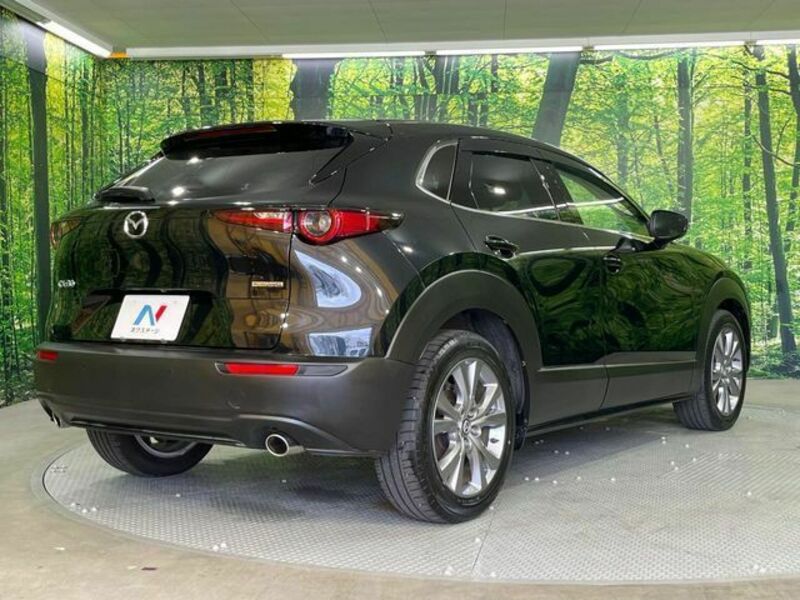 CX-30
