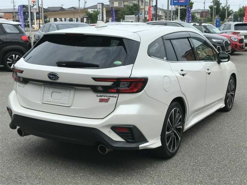 LEVORG