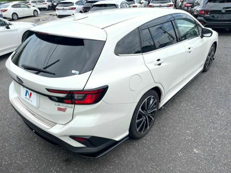 LEVORG