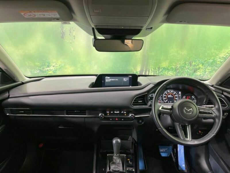 CX-30