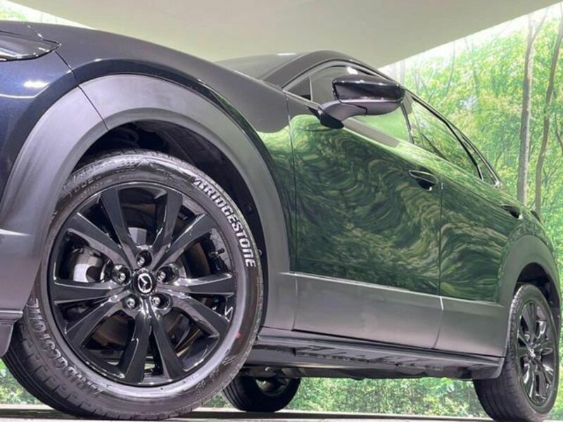 CX-30