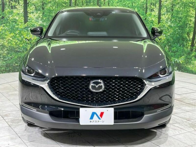 CX-30