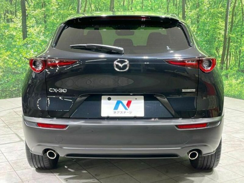 CX-30