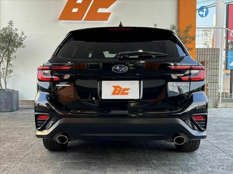 LEVORG