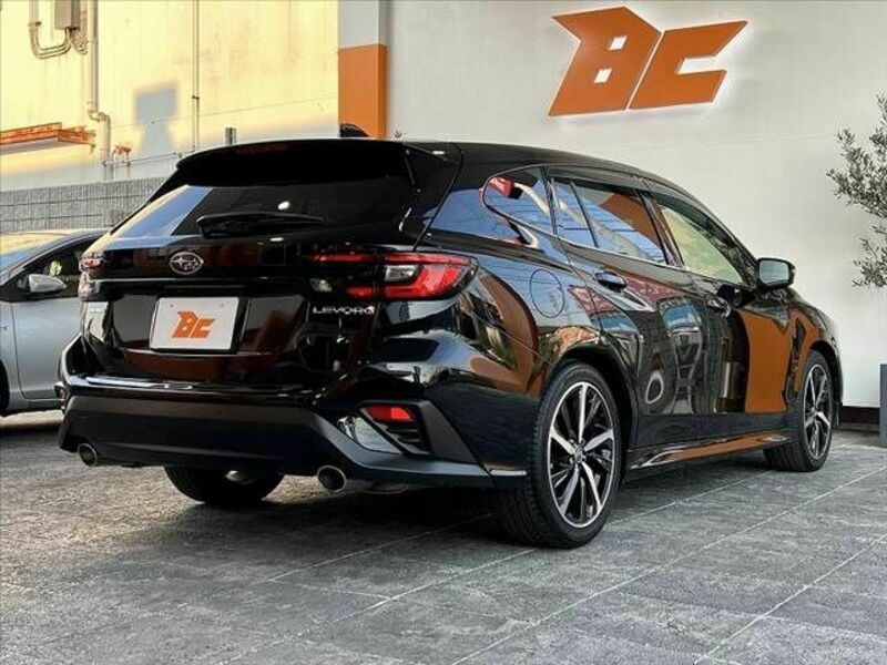 LEVORG