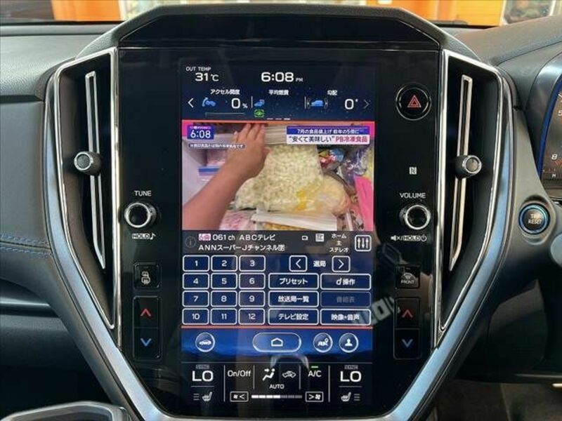 LEVORG