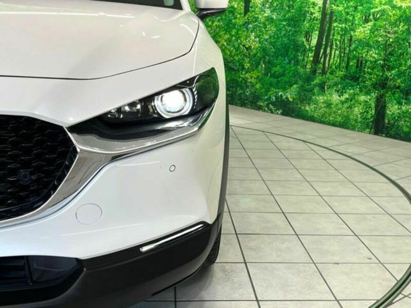 CX-30