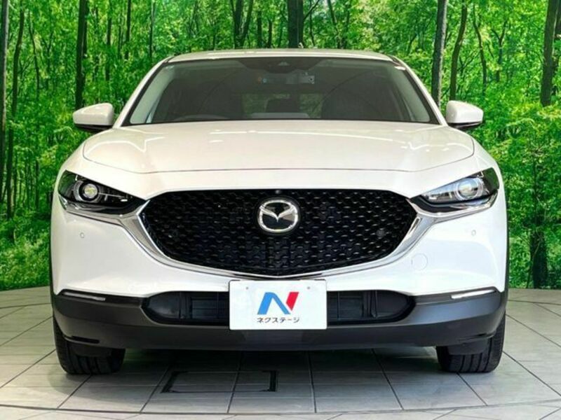 CX-30
