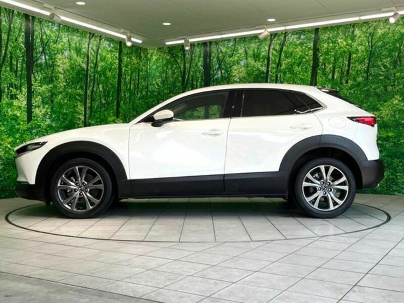 CX-30