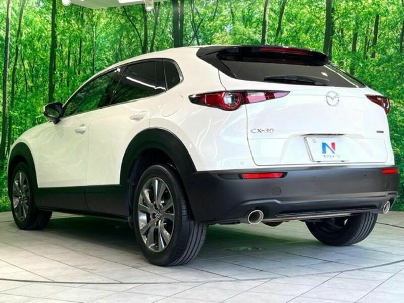 CX-30