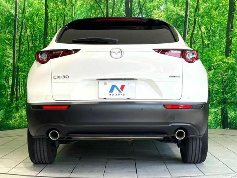 CX-30