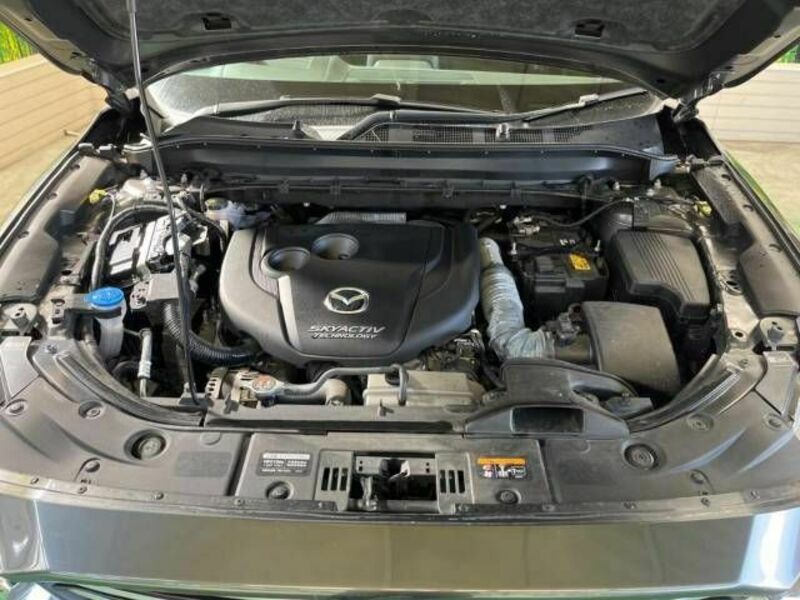 CX-8