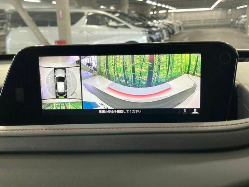 CX-30